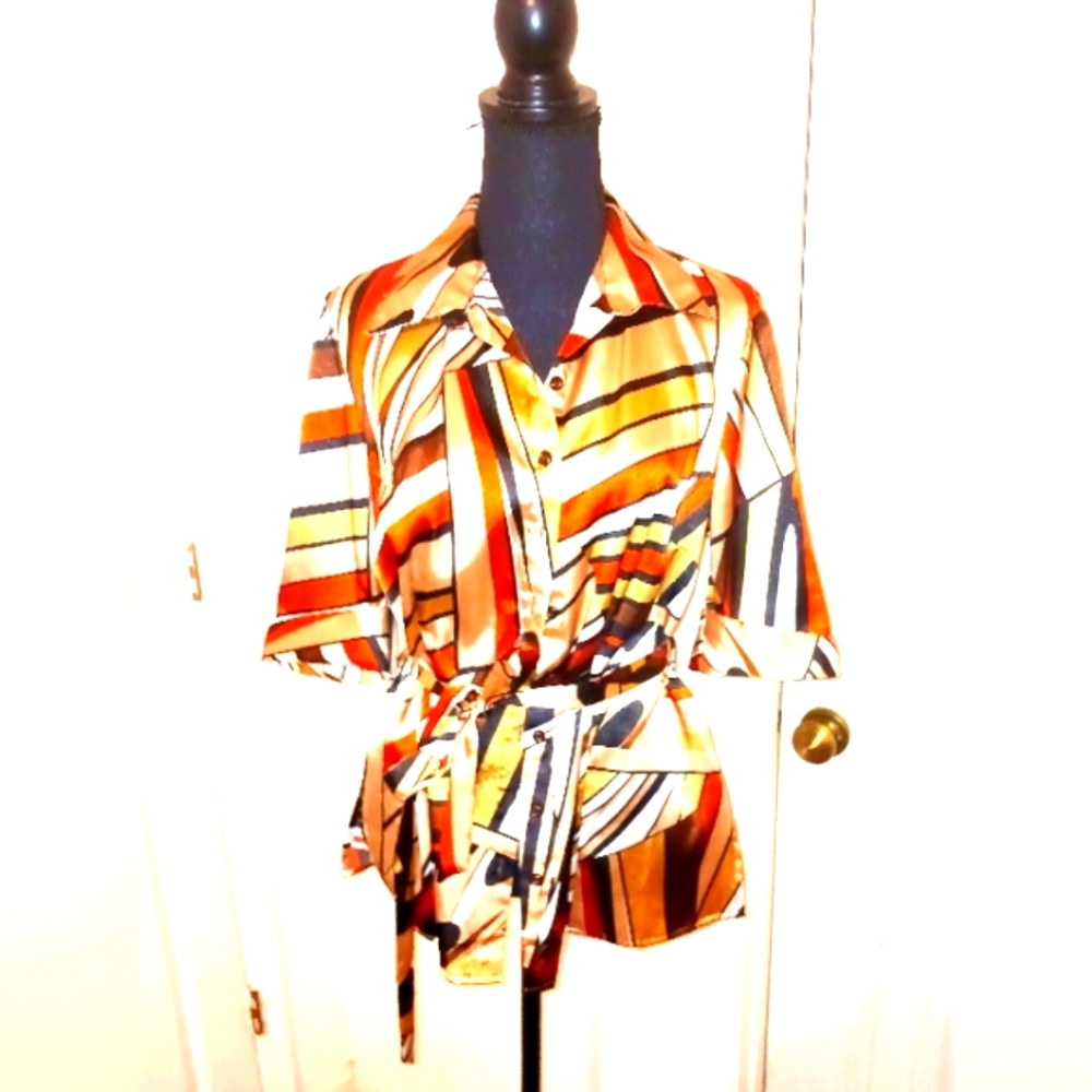 Striped Multicolor Button-Up Blouse - Picture 2 of 6